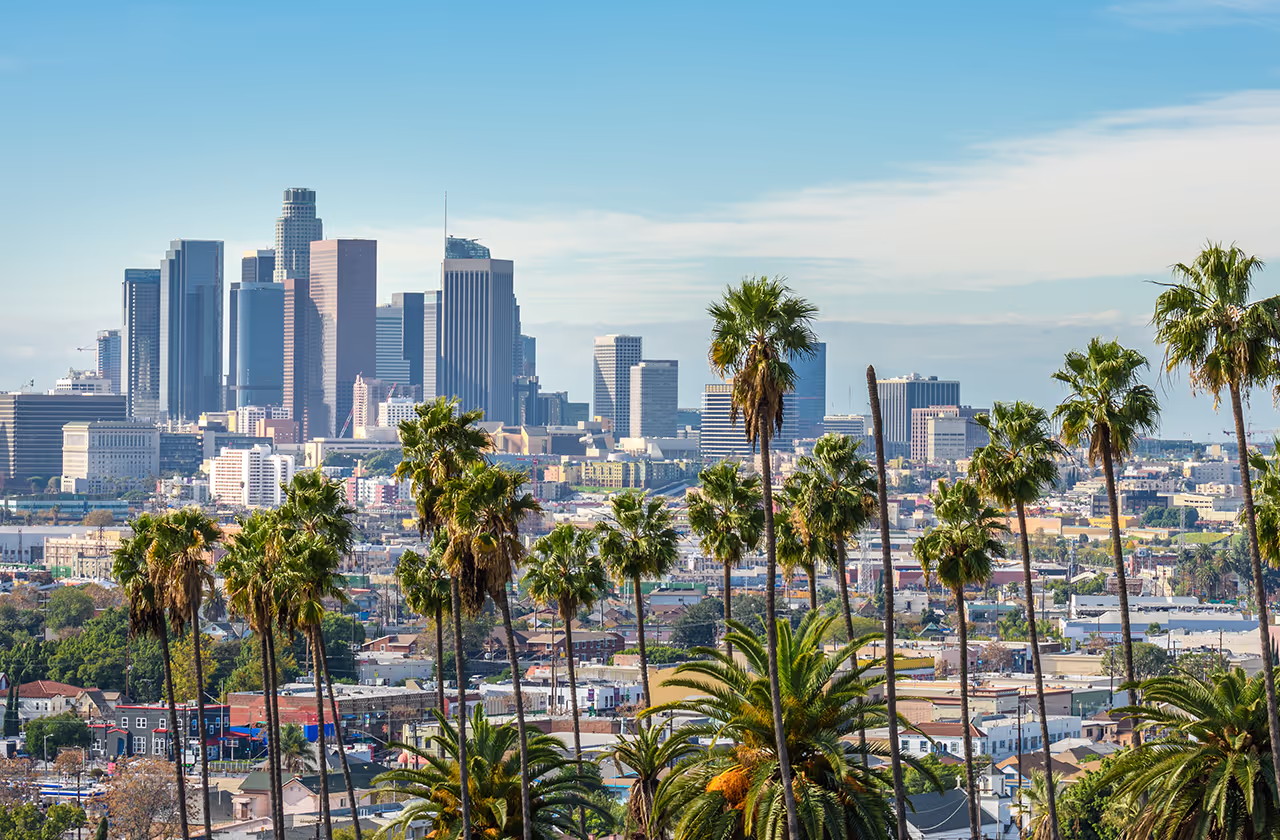 A cityscape with palm trees and a large building in the background.